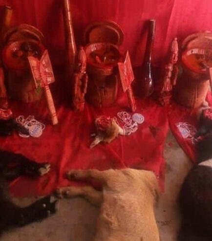 Chief Dr Fayemi Powerful Love Spell Caster