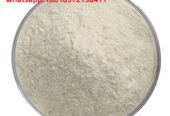 Milk thistle extract Silybum marianum extract silymarine silibinin