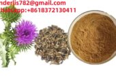 Milk thistle extract Silybum marianum extract silymarine silibinin