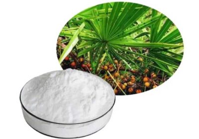 锯棕榈提取物