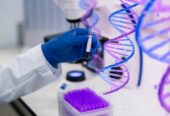 Drug Discovery and Development Services | Pre Clinical DMPK Services