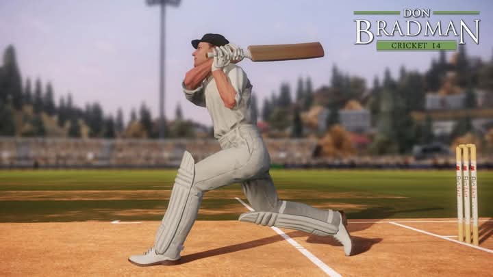 Cricket 2014