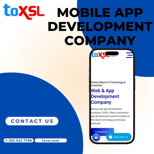 Professional App Development in California – ToXSL Technologies