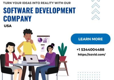 Software-Development-company-OZVID