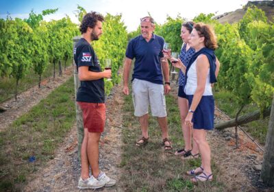 Hawkes-Bay-Wine-Tours