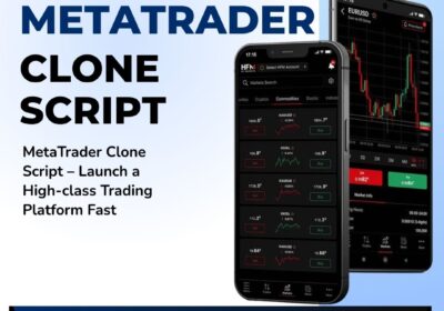 MetaTrader-clone-script