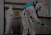Bugs Or US Pest Control
