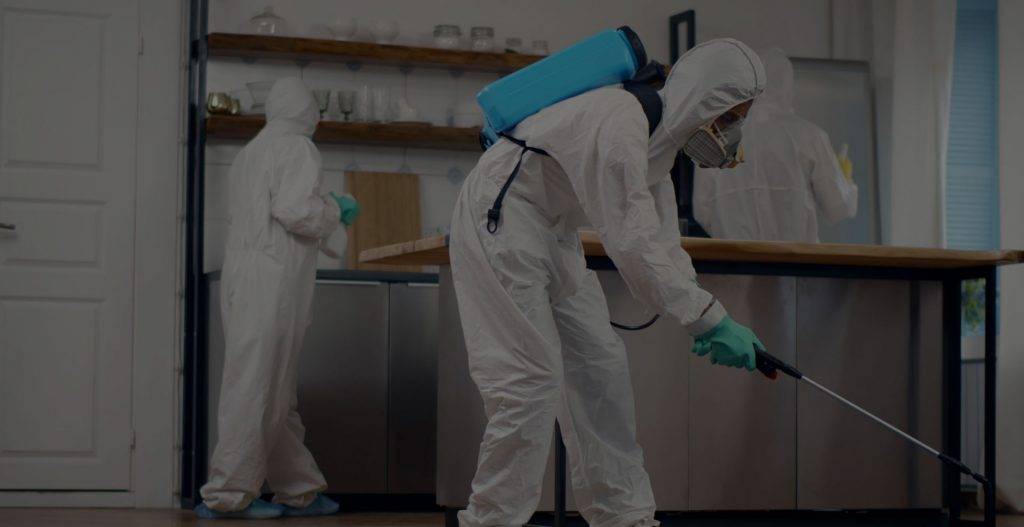 Bugs Or US Pest Control