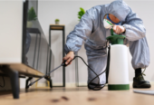Bugs Or US Pest Control