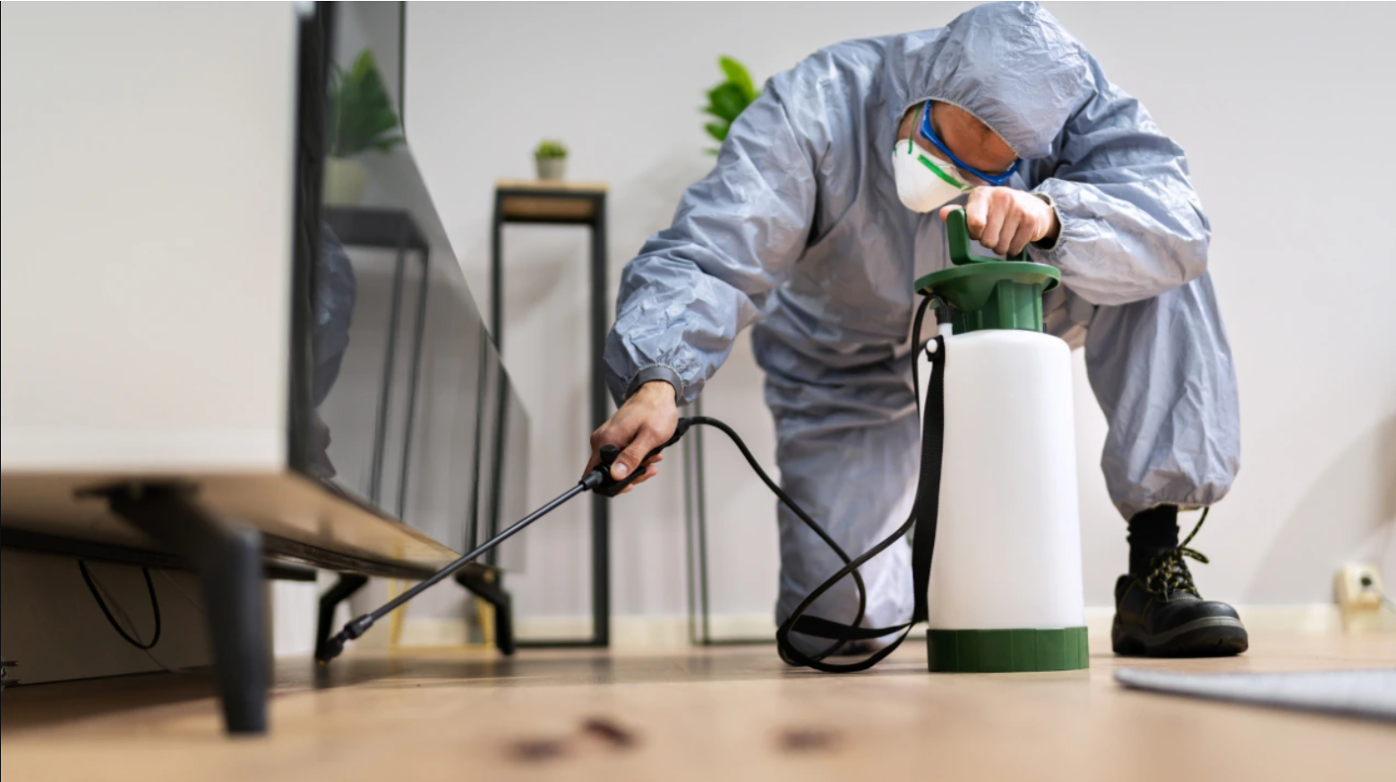 Bugs Or US Pest Control