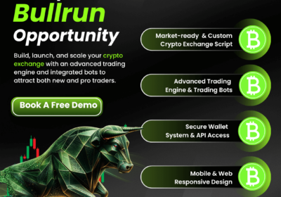 Entrepreneurs-Bullrun-Opportunity