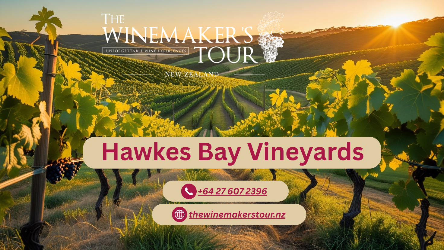 The Winemaker’s Private Wine Tours Napier