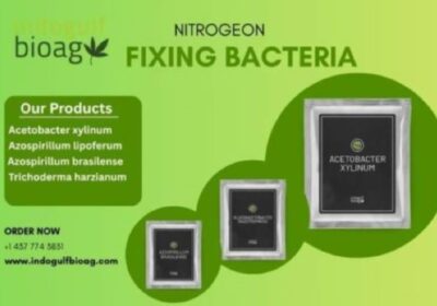Nitrogeon-Fixing-Bacteria