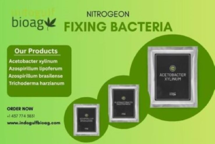 Buy High-Performance Nitrogen Fixing Bacteria for All Crop Types