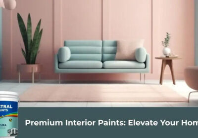 Premium-Interior-Paints-Elevate-Your-Homes-Aesthetic