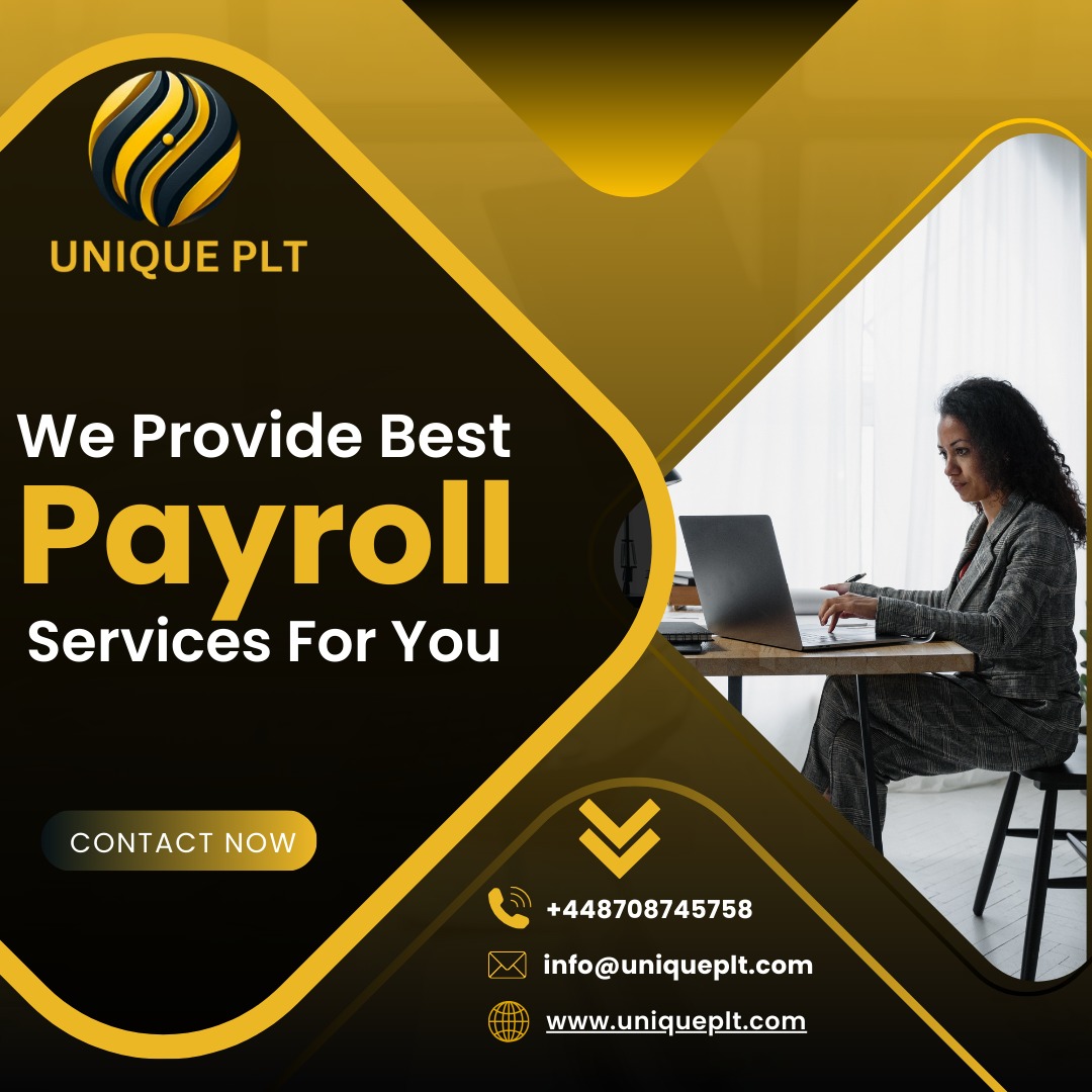 Professional payroll services for your Business”