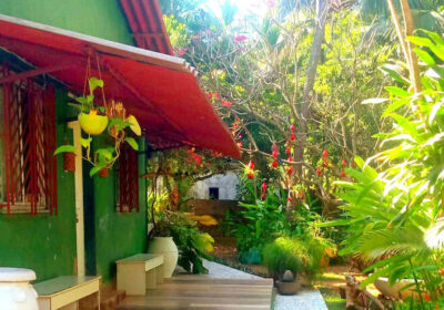 About-Interlude-Cottage-The-Druids-Garden