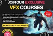 100% Career-Oriented VFX Training with Placement Support