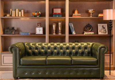 Top-10-Reasons-to-Buy-a-Leather-Sofa-for-Your-Living-Room-in-2025