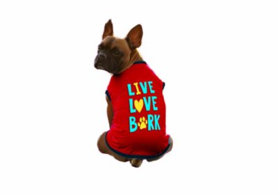 Top-10-Stylish-and-Comfortable-Dog-Clothes-to-Buy-Online-in-India