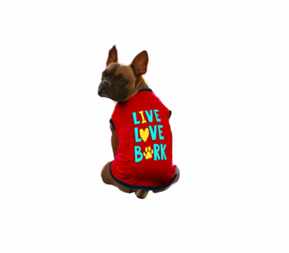 Top 10 Stylish and Comfortable Dog Clothes to Buy Online in India!!
