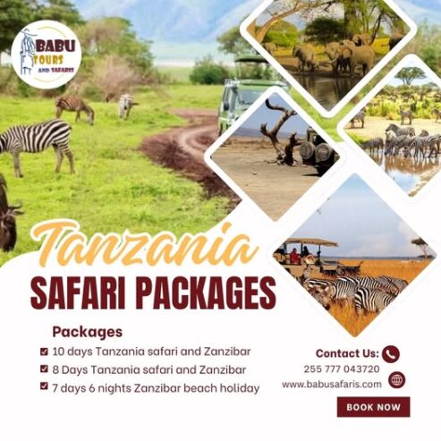 Tanzania Safari Packages – Explore Africa’s Wild Beauty