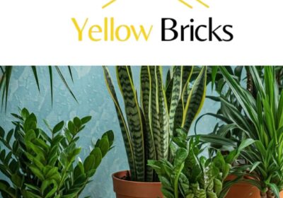 Yellow-brics