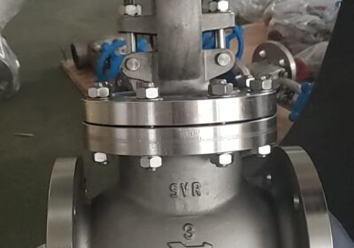 globe-valve