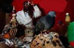 drkyeyo_business_and_success_spells-1