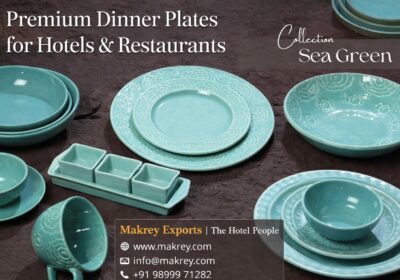 Premium-Dinner-Plates-for-Hotels-Restaurants