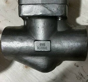 steam-trap1