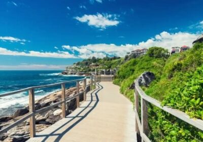 traffic-lawyers-sydney-JPG