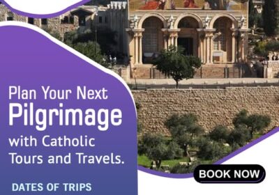 550219679_1649976269743234_5778553968899700605_n