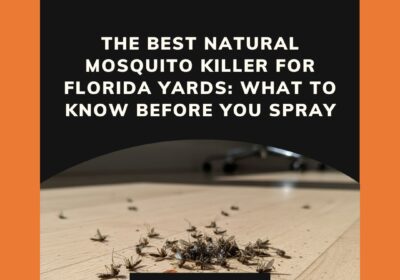 601357120_1296893532457591_1331337325665801808_n