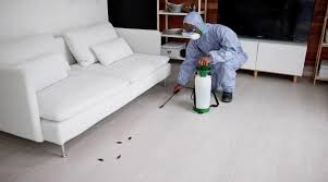 Roach-control-The-Villages