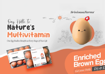 Top-Stores-Online-Platforms-to-Buy-Fresh-DHA-Enriched-Eggs